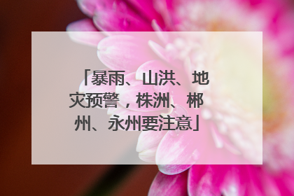 暴雨、山洪、地灾预警，株洲、郴州、永州要注意
