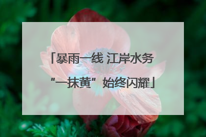 暴雨一线 江岸水务“一抹黄”始终闪耀