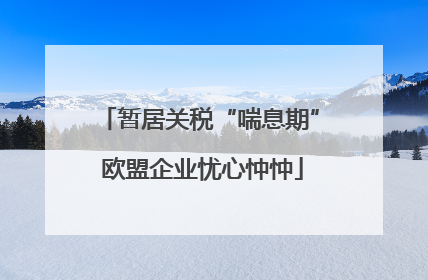暂居关税“喘息期” 欧盟企业忧心忡忡