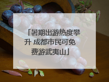 暑期出游热度攀升 成都市民可免费游武夷山