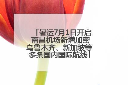 暑运7月1日开启 南昌机场新增加密乌鲁木齐、新加坡等多条国内国际航线