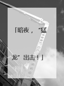 暗夜，“猛龙”出击！