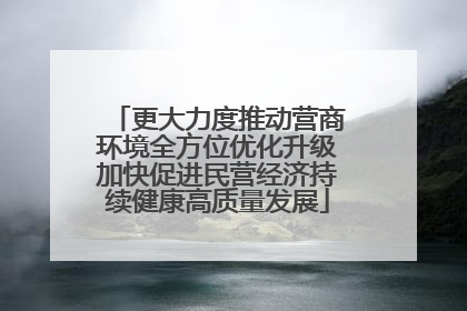 更大力度推动营商环境全方位优化升级加快促进民营经济持续健康高质量发展