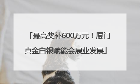 最高奖补600万元！厦门真金白银赋能会展业发展