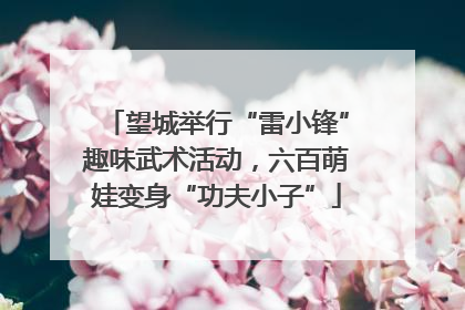 望城举行“雷小锋”趣味武术活动，六百萌娃变身“功夫小子”