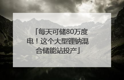 每天可储80万度电！这个大型锂钠混合储能站投产