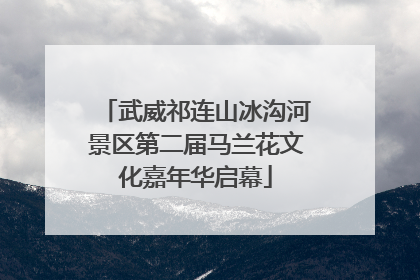武威祁连山冰沟河景区第二届马兰花文化嘉年华启幕
