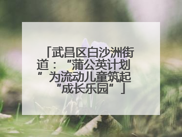 武昌区白沙洲街道：“蒲公英计划”为流动儿童筑起“成长乐园”