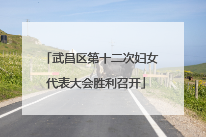 武昌区第十二次妇女代表大会胜利召开