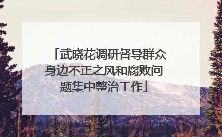武晓花调研督导群众身边不正之风和腐败问题集中整治工作