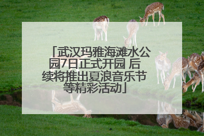 武汉玛雅海滩水公园7日正式开园 后续将推出夏浪音乐节等精彩活动