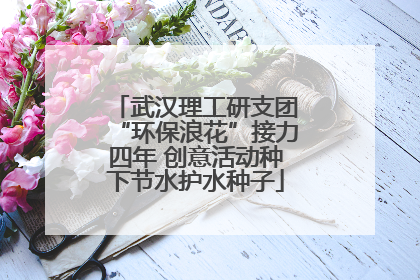 武汉理工研支团“环保浪花”接力四年 创意活动种下节水护水种子