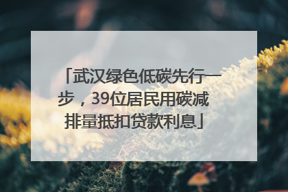 武汉绿色低碳先行一步，39位居民用碳减排量抵扣贷款利息