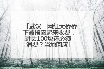 武汉一网红大桥桥下被指圈起来收费，进去100块还必须消费？当地回应
