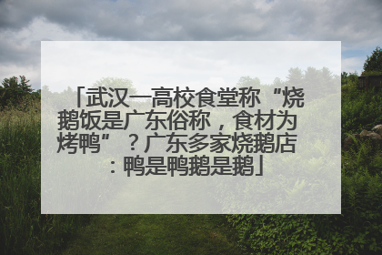 武汉一高校食堂称“烧鹅饭是广东俗称，食材为烤鸭”？广东多家烧鹅店：鸭是鸭鹅是鹅