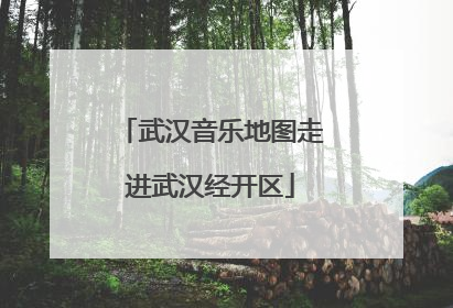 武汉音乐地图走进武汉经开区