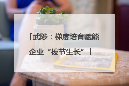 武陟：梯度培育赋能企业“拔节生长”
