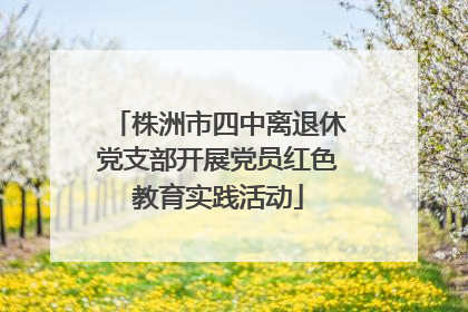 株洲市四中离退休党支部开展党员红色教育实践活动