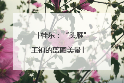 桂东：“头雁”王镇的蓝图美景