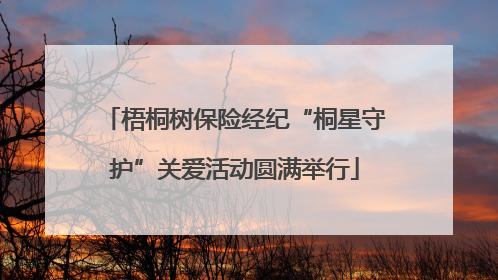 梧桐树保险经纪“桐星守护”关爱活动圆满举行