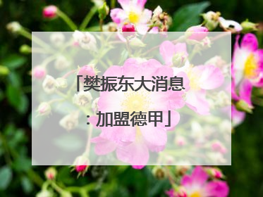 樊振东大消息：加盟德甲