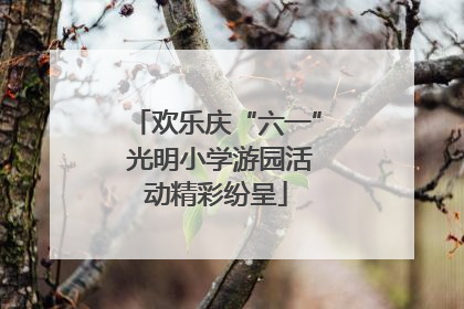 欢乐庆“六一” 光明小学游园活动精彩纷呈
