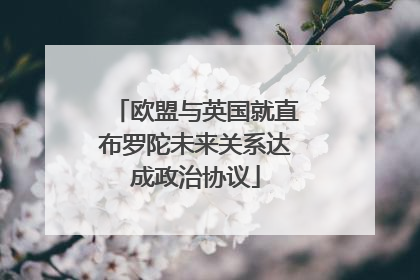 欧盟与英国就直布罗陀未来关系达成政治协议