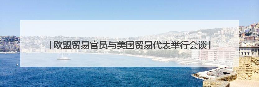 欧盟贸易官员与美国贸易代表举行会谈