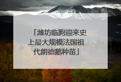 潍坊临朐迎来史上最大规模法国祖代朗德鹅种苗