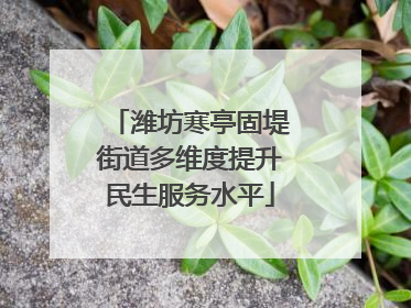 潍坊寒亭固堤街道多维度提升民生服务水平