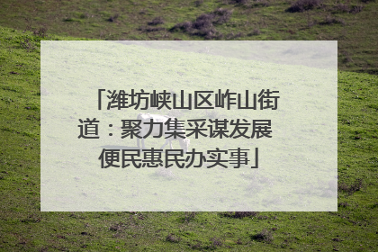 潍坊峡山区岞山街道：聚力集采谋发展 便民惠民办实事