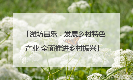 潍坊昌乐：发展乡村特色产业 全面推进乡村振兴