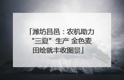 潍坊昌邑：农机助力“三夏”生产 金色麦田绘就丰收图景