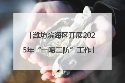 潍坊滨海区开展2025年“一喷三防”工作