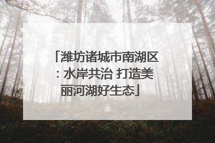 潍坊诸城市南湖区：水岸共治 打造美丽河湖好生态