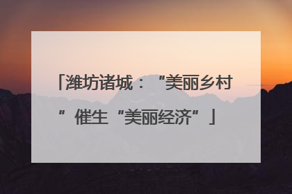 潍坊诸城：“美丽乡村”催生“美丽经济”