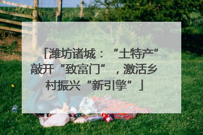 潍坊诸城：“土特产”敲开“致富门”，激活乡村振兴“新引擎”