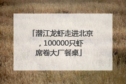 潜江龙虾走进北京，100000只虾席卷大厂餐桌