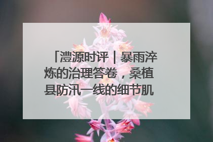 澧源时评｜暴雨淬炼的治理答卷，桑植县防汛一线的细节肌理与体系力量