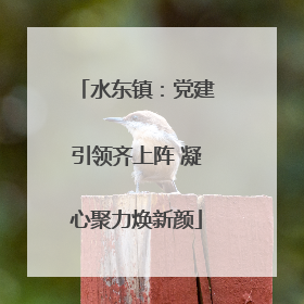 水东镇：党建引领齐上阵 凝心聚力焕新颜