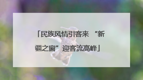 民族风情引客来 “新疆之窗”迎客流高峰