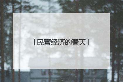 民营经济的春天