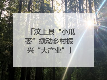 汶上县“小瓜蒌”撬动乡村振兴“大产业”