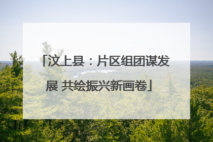 汶上县：片区组团谋发展 共绘振兴新画卷