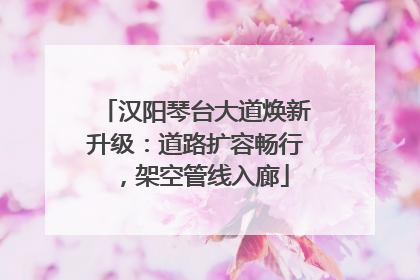 汉阳琴台大道焕新升级：道路扩容畅行，架空管线入廊
