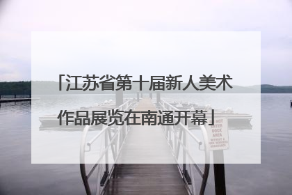 江苏省第十届新人美术作品展览在南通开幕
