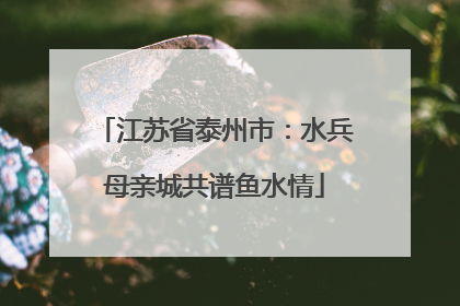 江苏省泰州市：水兵母亲城共谱鱼水情