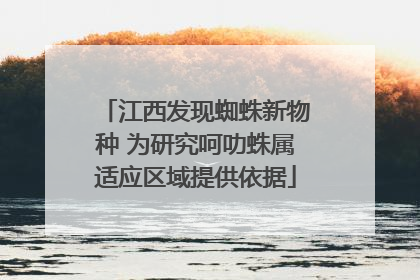 江西发现蜘蛛新物种 为研究呵叻蛛属适应区域提供依据