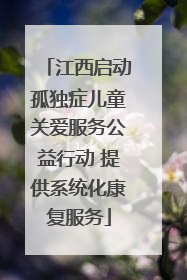 江西启动孤独症儿童关爱服务公益行动 提供系统化康复服务