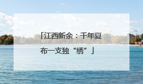 江西新余：千年夏布一支独“绣”